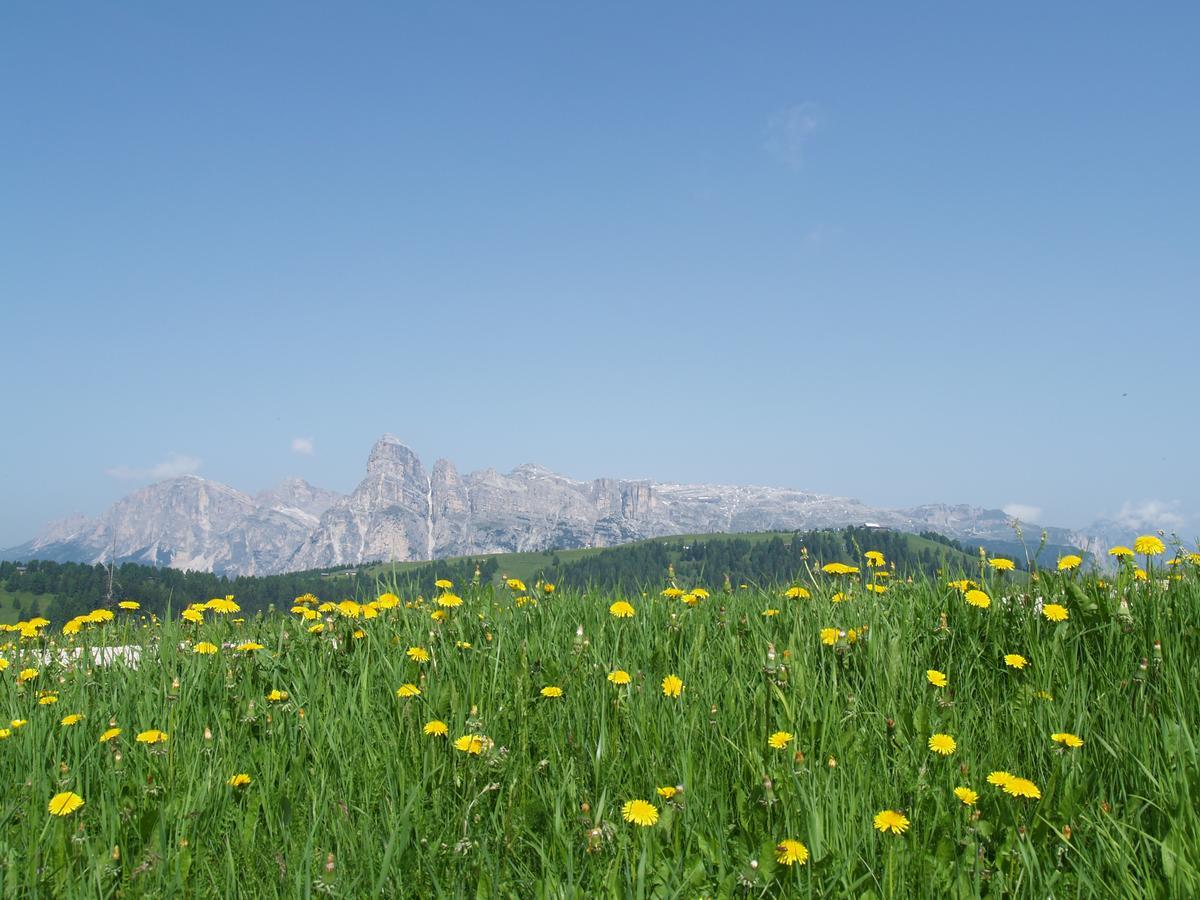 Residence Vajolet San Cassiano Esterno foto