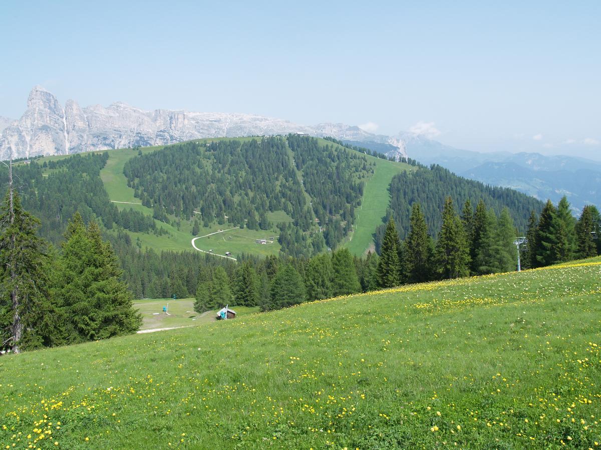 Residence Vajolet San Cassiano Esterno foto