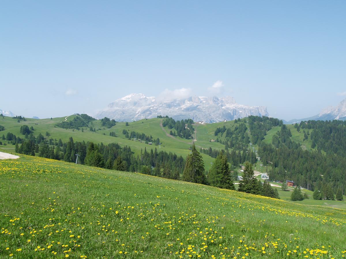 Residence Vajolet San Cassiano Esterno foto